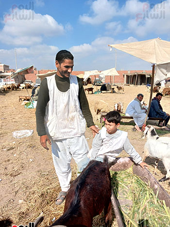 سوق-الثلاثاء-للمواشي-بالشرقية-(5)