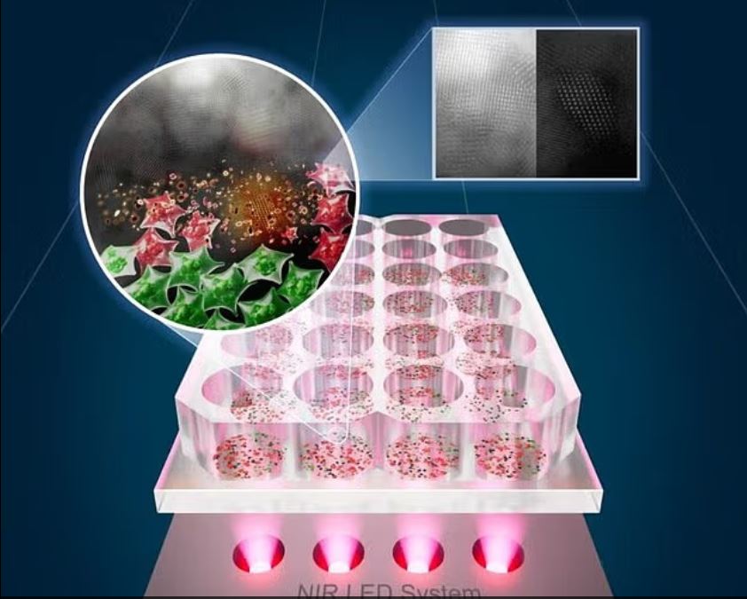 علاج جديد للسرطان