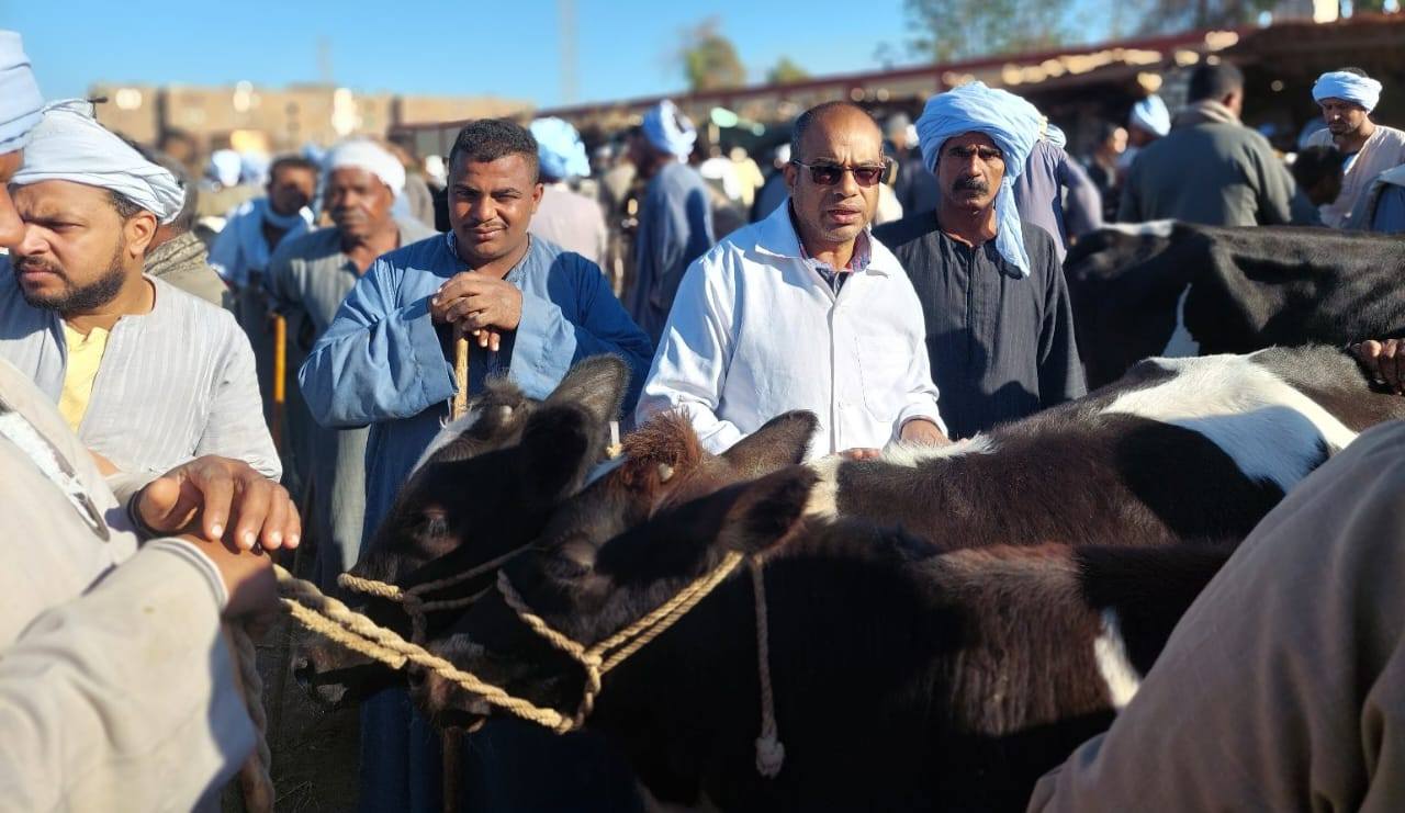 فرق الطب البيطرى بالأقصر تقدم تحصينات للماشية وتوعية لأصحابها فرق الطب البيطرى بالأقصر تقدم تحصينات للماشية وتوعية لأصحابها