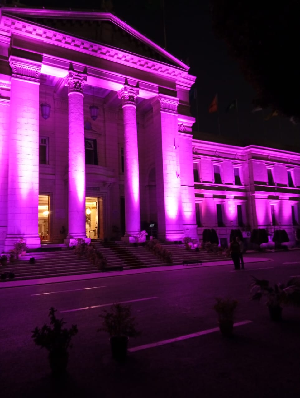 جامعة القاهرة جامعة القاهرة