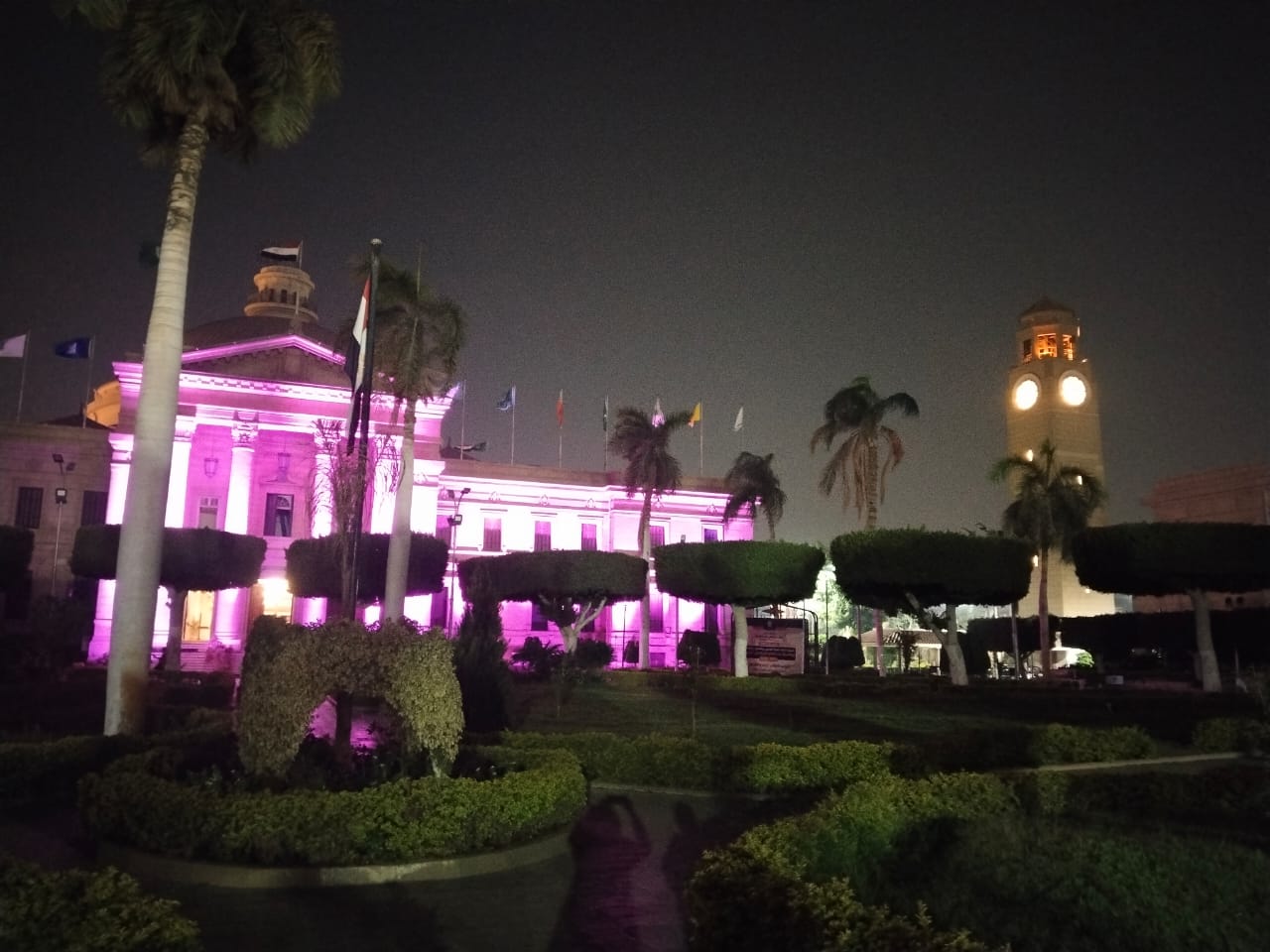 جامعة القاهرة تضى مبناها جامعة القاهرة تضى مبناها