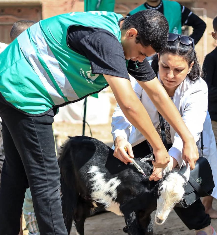 قوافل بيطرية مجانية بمحافظة الفيوم (3)