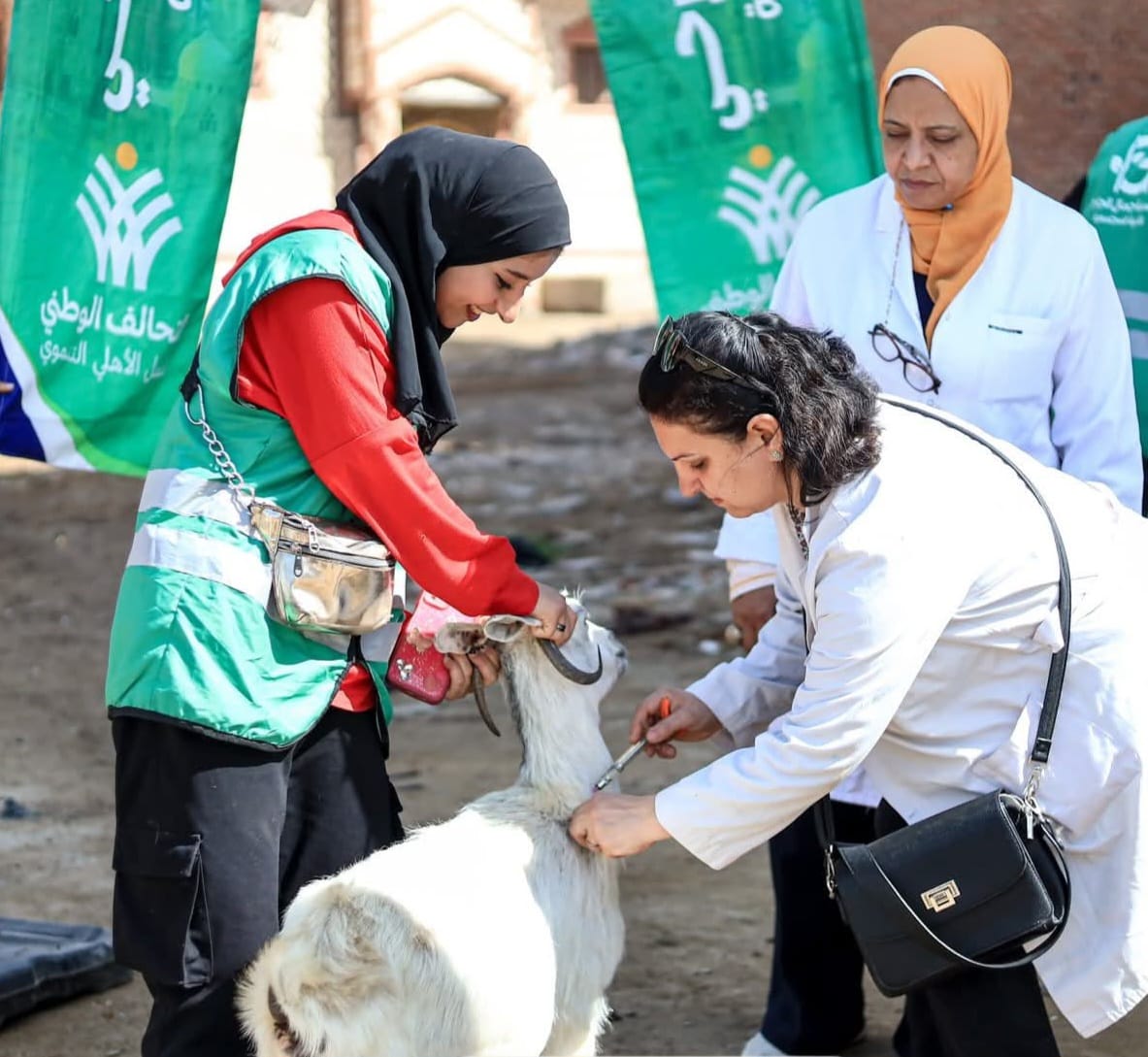 قوافل بيطرية مجانية بمحافظة الفيوم (4)