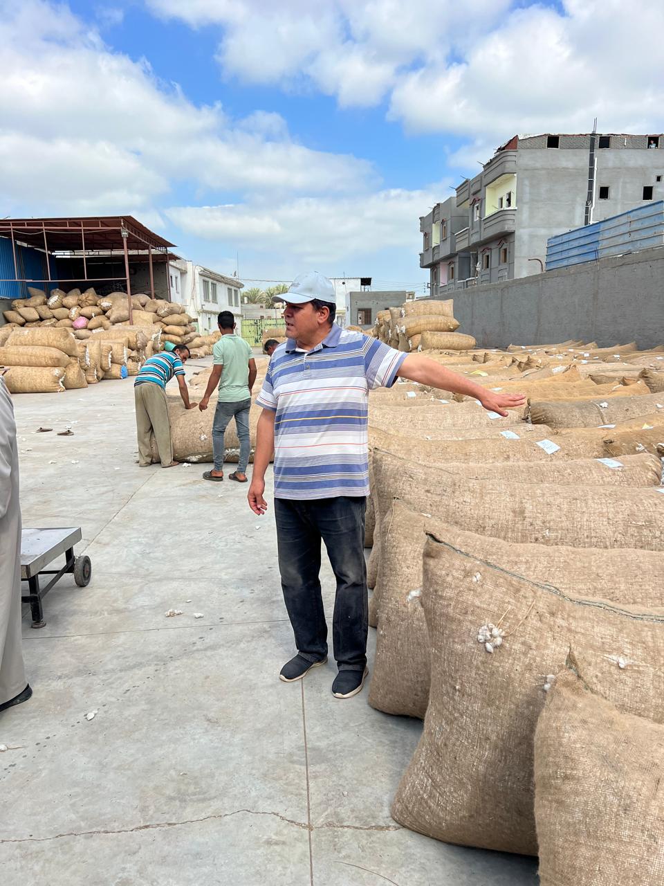 عمليات تخزين الفطن داخل الشون