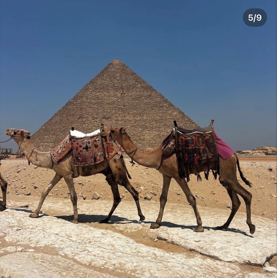 بيزيرا ووالده فى زيارة للأهرامات (4)