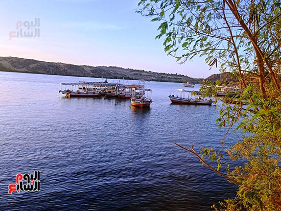 الجزيرة-مطلة-على-النيل