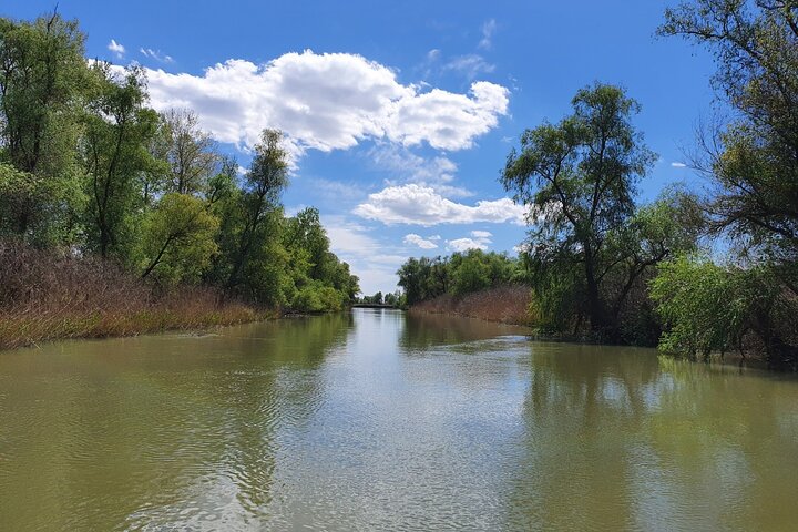 دلتا نهر الدانوب