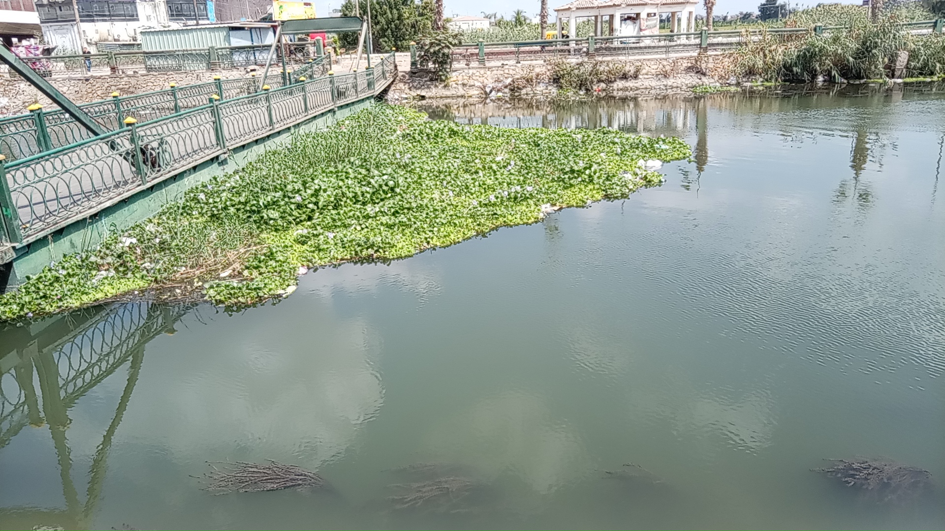 خطة متكاملة لمواجهة فيضان نهر النيل بالبحيرة 