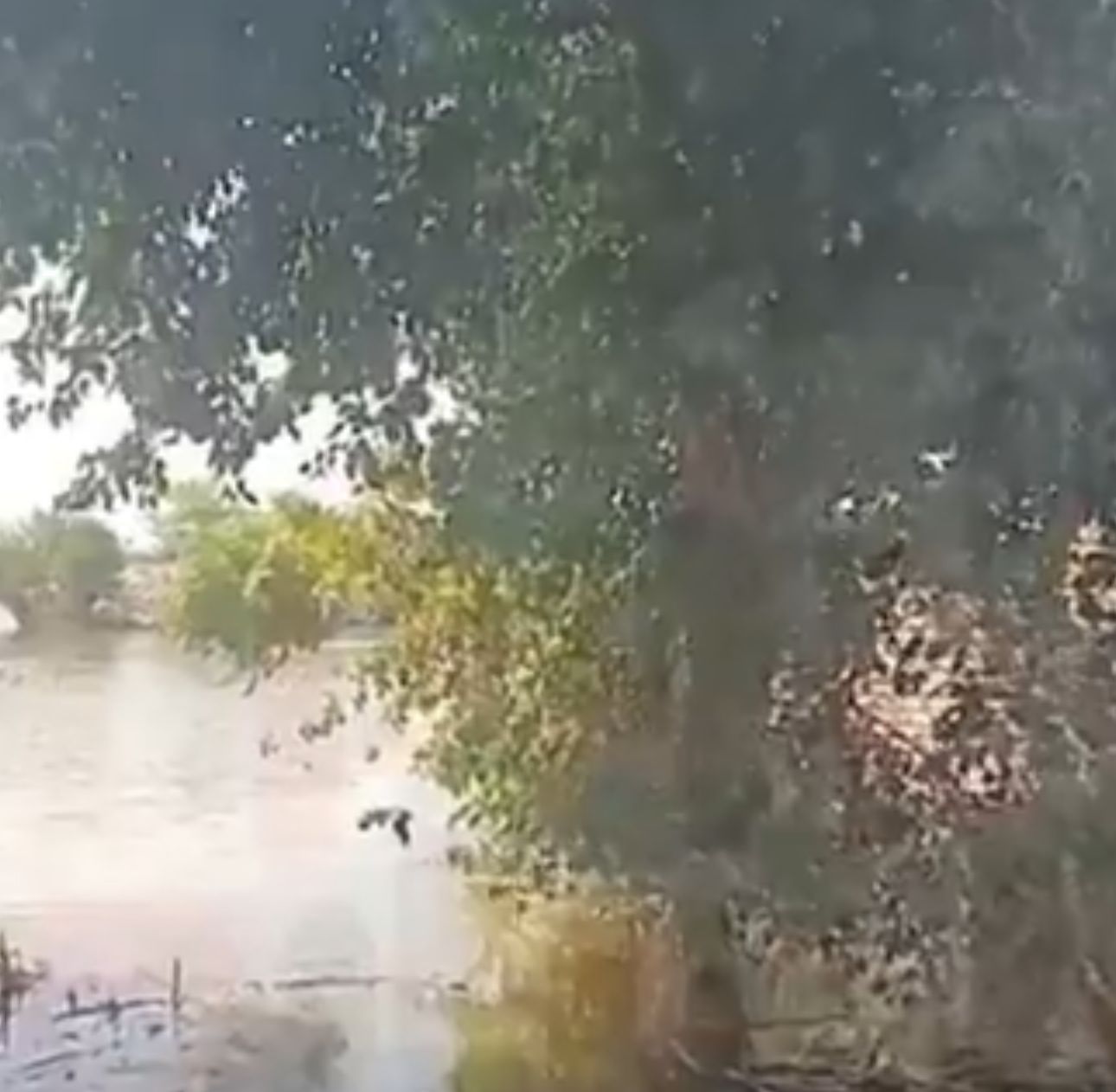 المياه تغمر المباني_1 المياه تغمر المباني_1