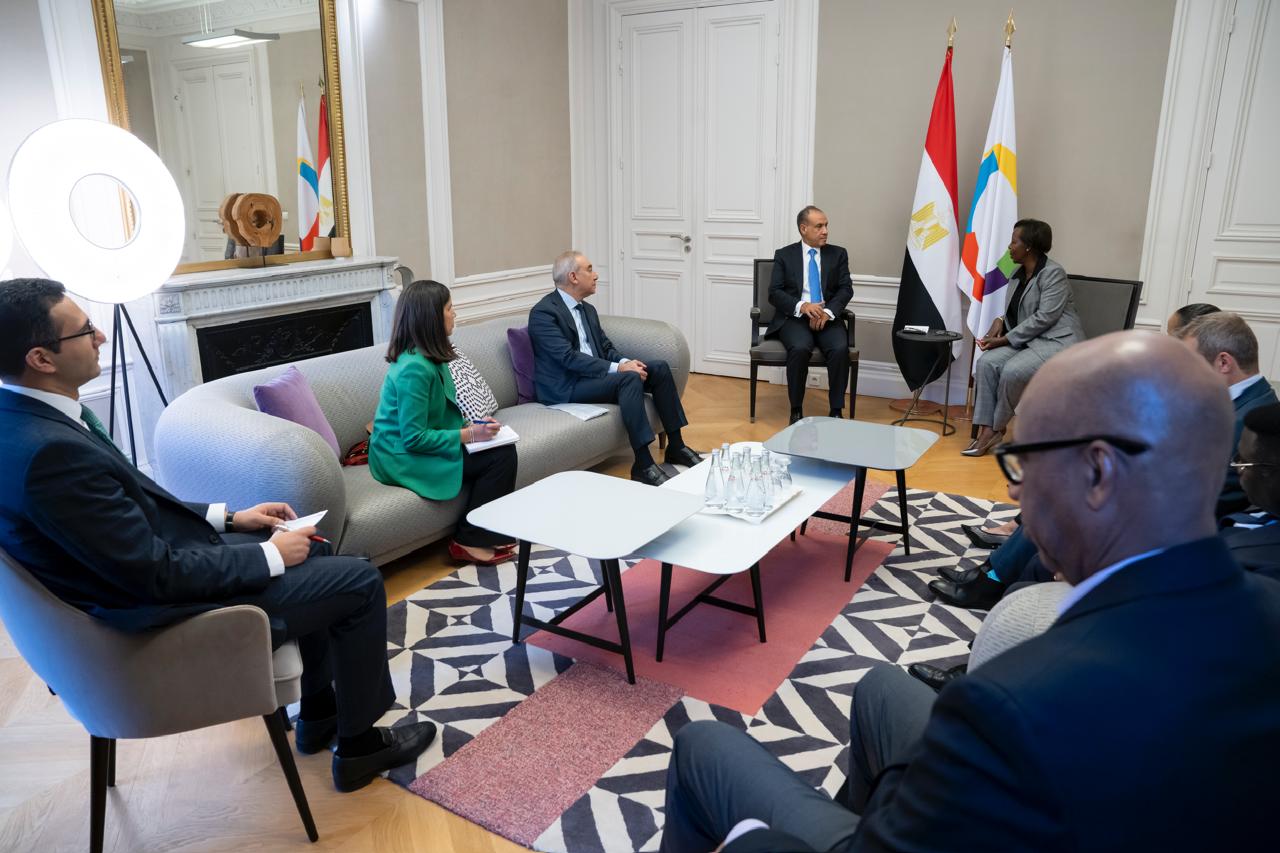 لقاء وزير الخارجية بدر عبد العاطى