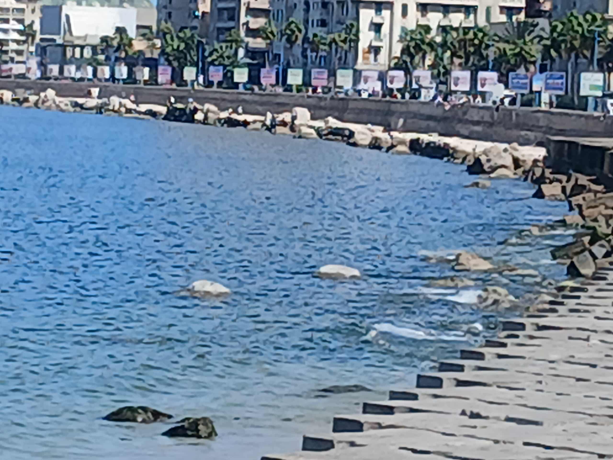 انحسار البحر بسبب العوامل الطبيعية في الإسكندرية
