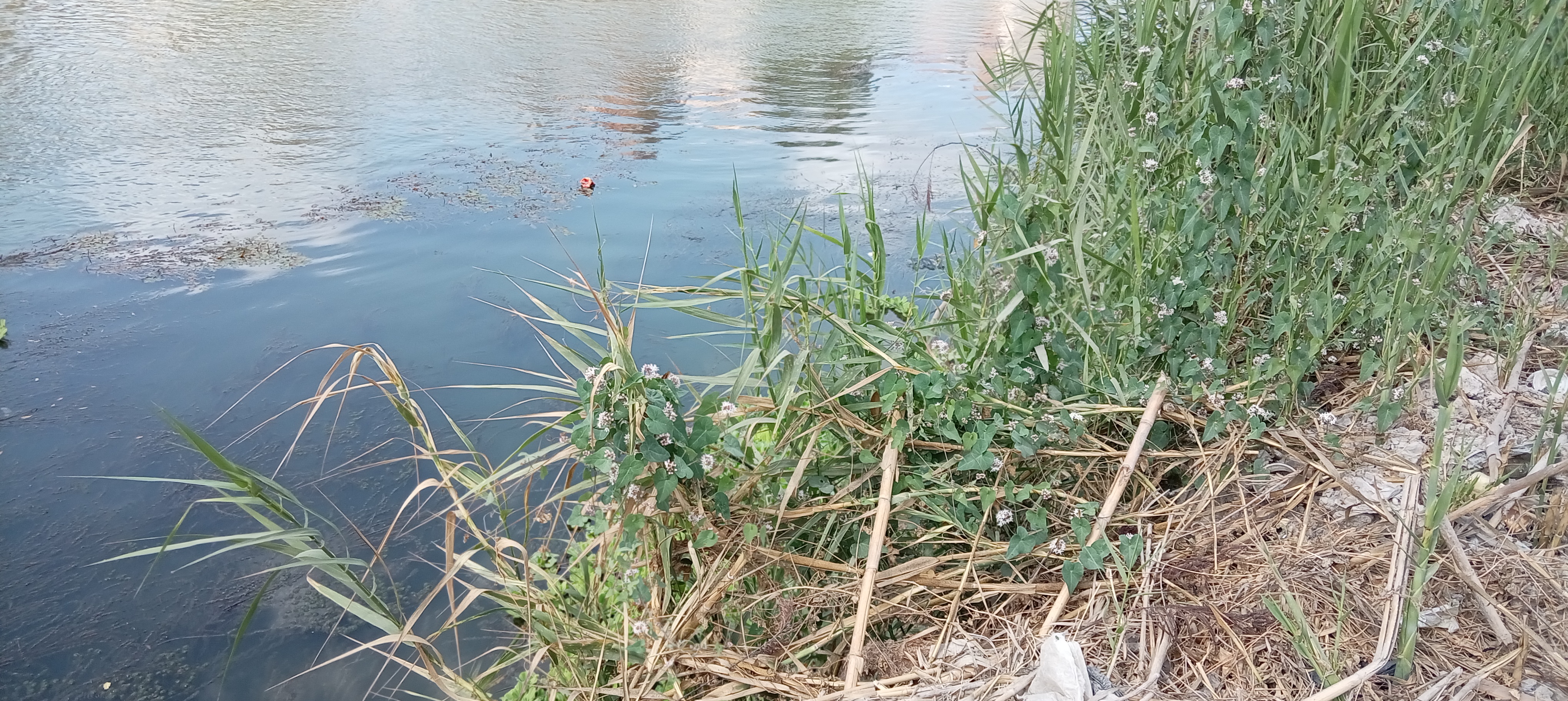 رفع حالة الطوارئ بالبحيرة لمواجهة اثار فيضان النيل 