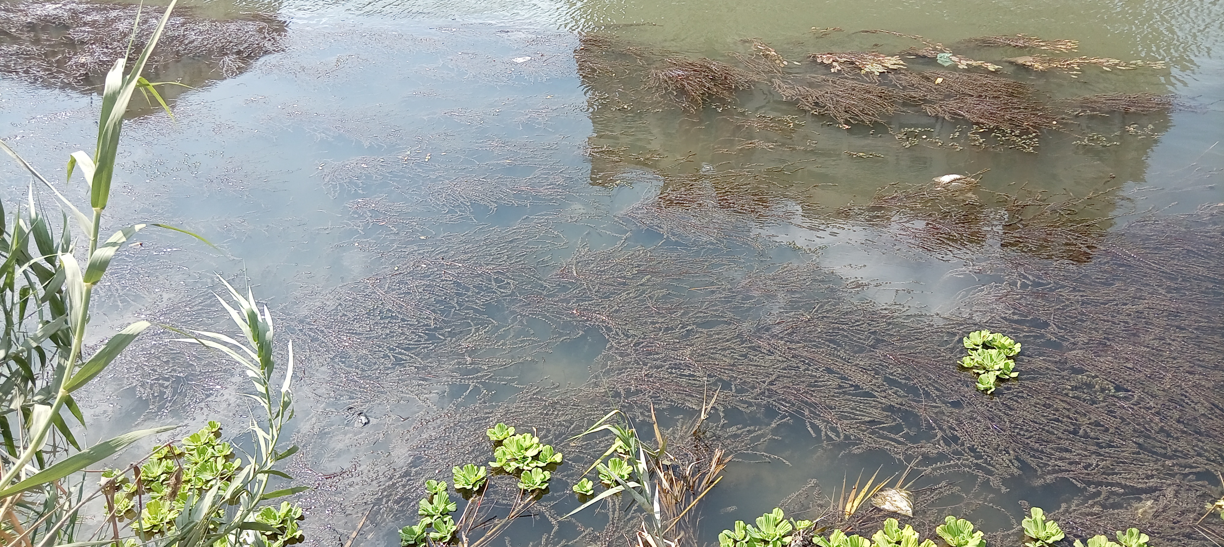 استعدادات مكثفة لمواجهة الفيضانات بمحافظة البحيرة 