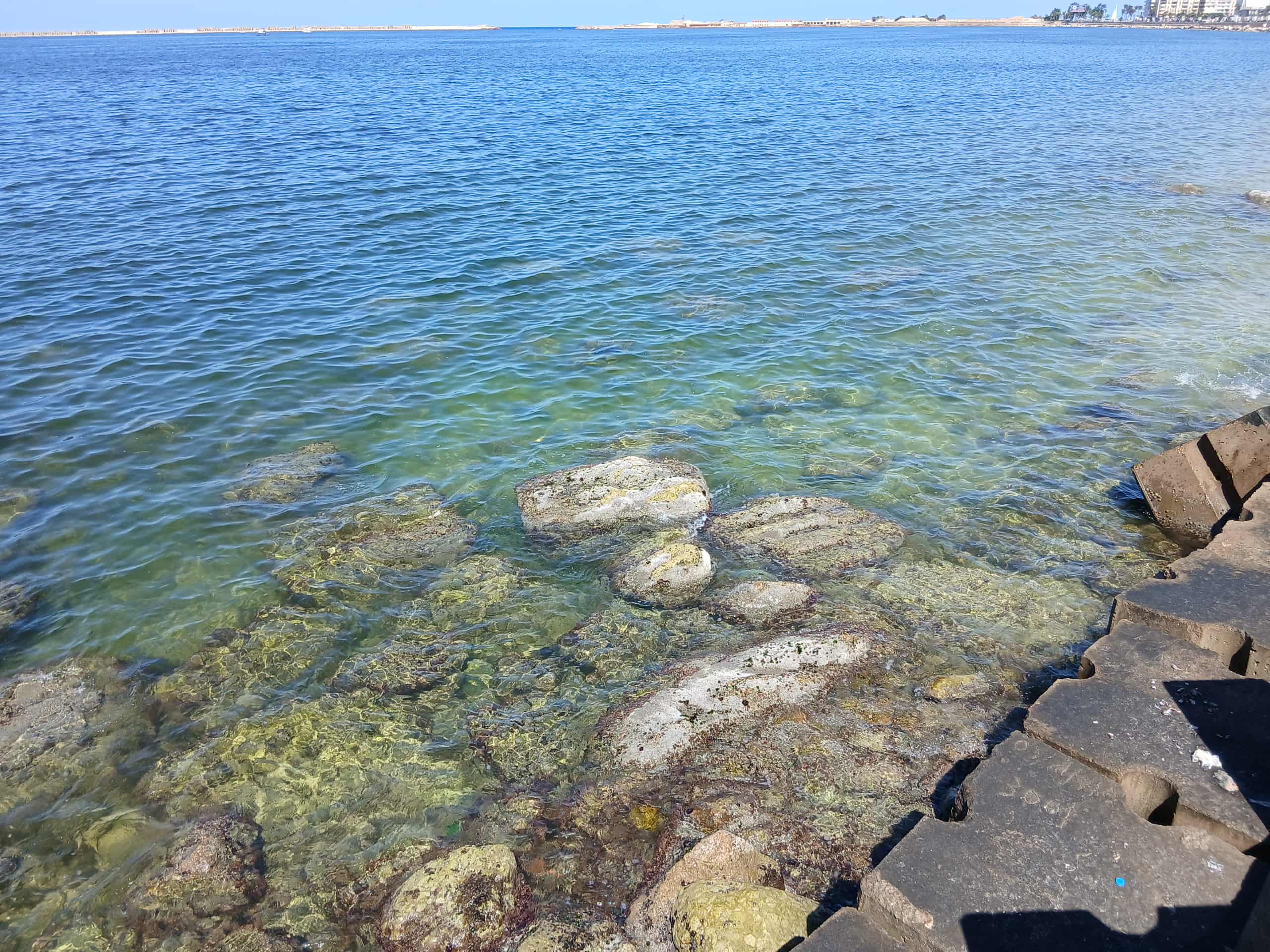 انحسار البحر علي الصخور بسبب المد والجزر في الإسكندرية