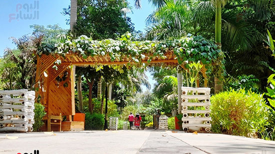 جزيرة-النباتات