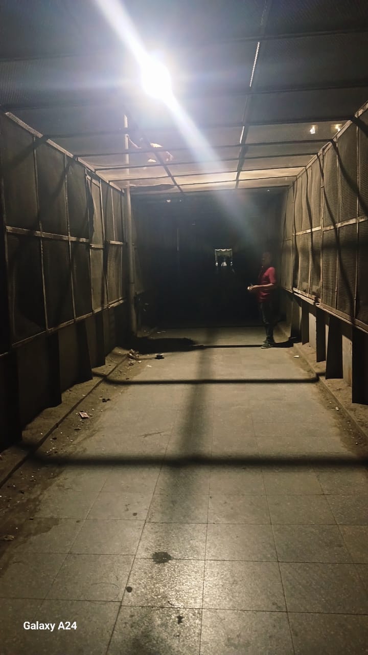 جانب من إنارة الكوبرى جانب من إنارة الكوبرى