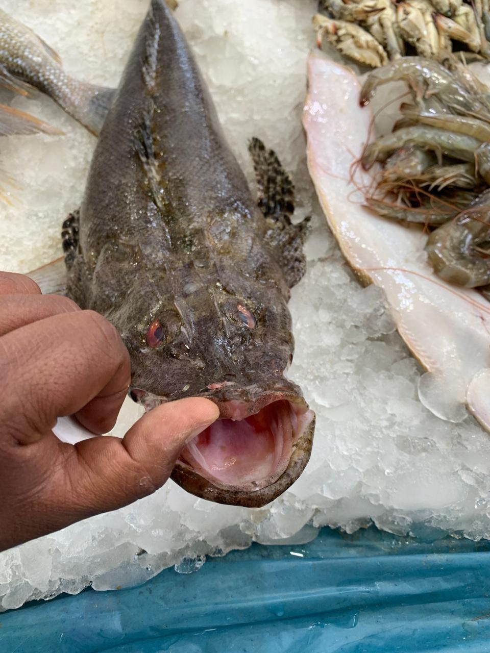 ذات،فوائد غذائية مرتفعة 