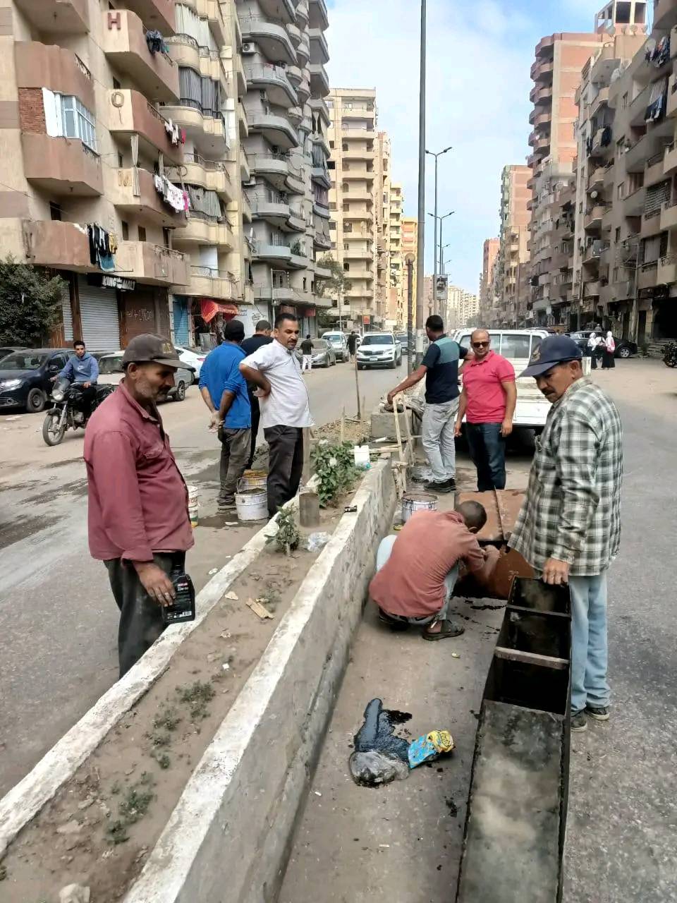 زراعة وسط الطريق