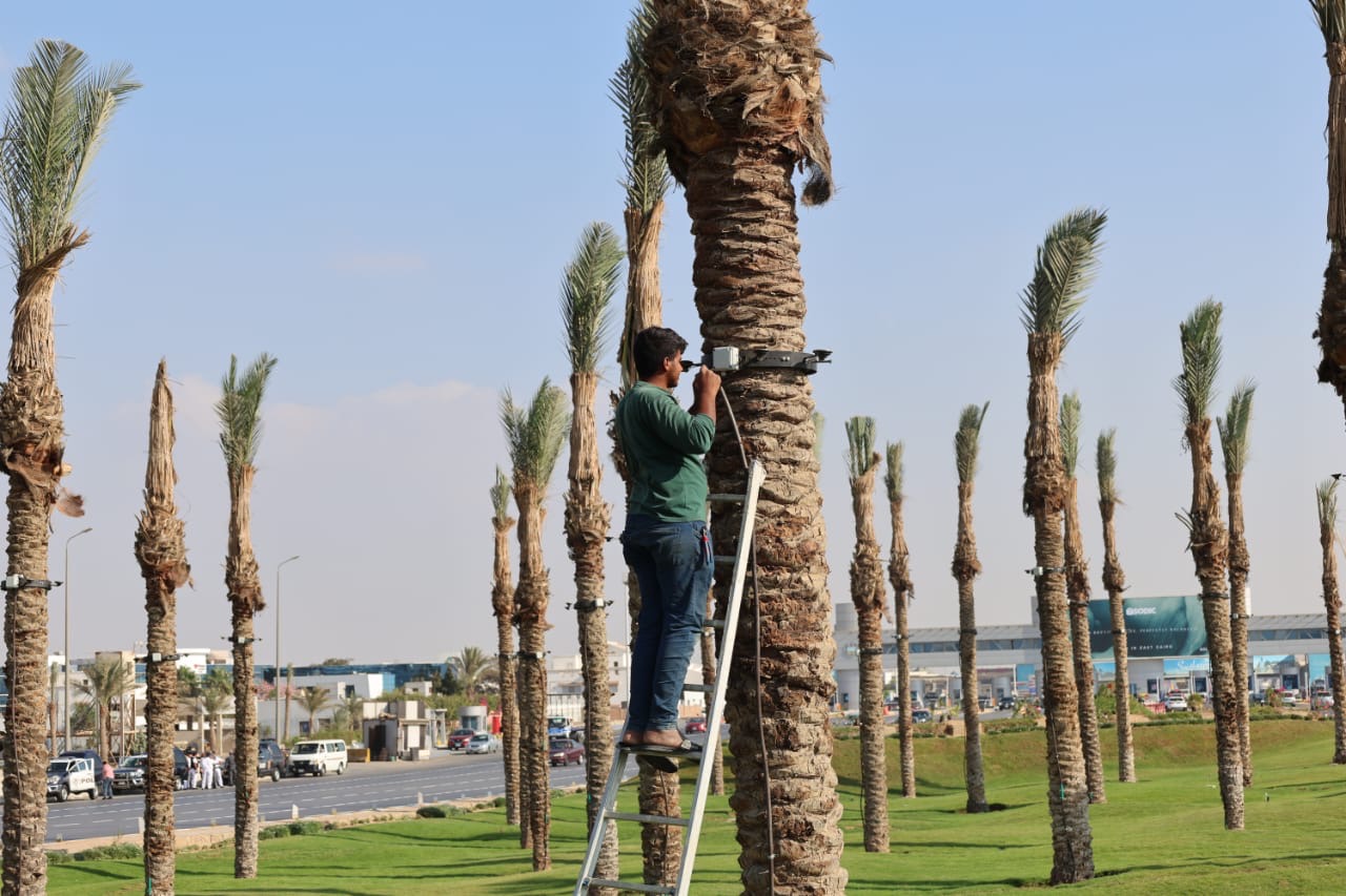 أعمال التطوير