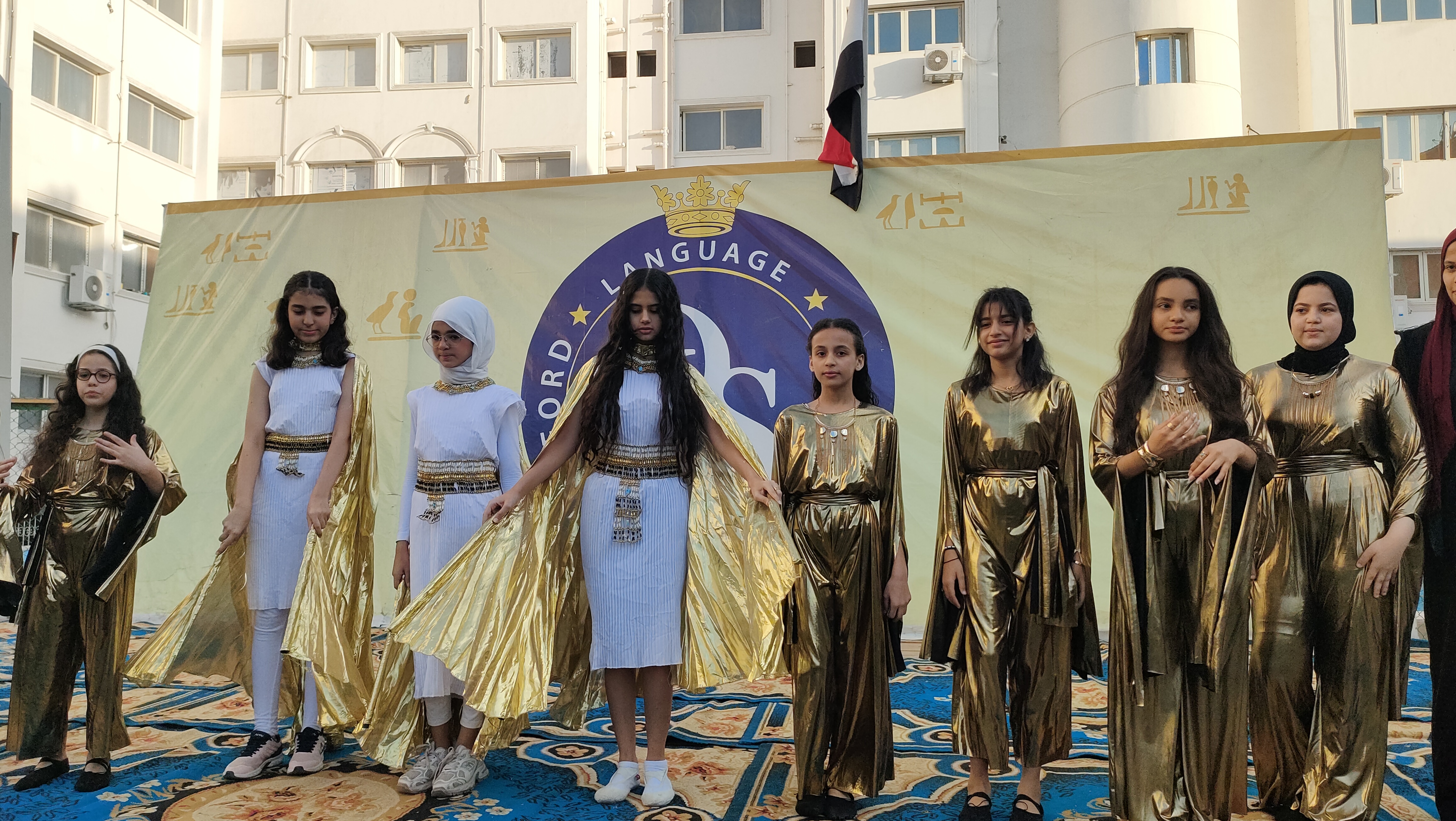 العروض الفنية العروض الفنية