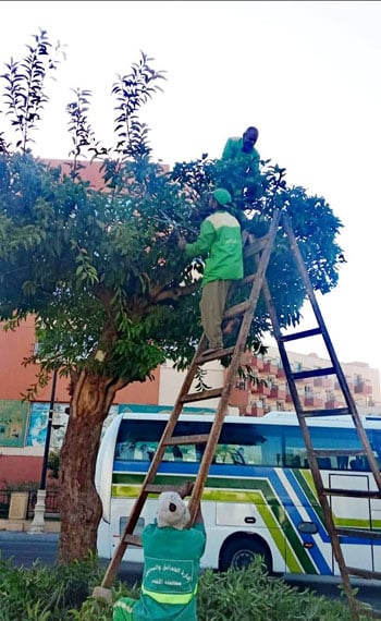 124739-جانب-من-عمليات-تجميل-شوارع-وميادين-الأقصر