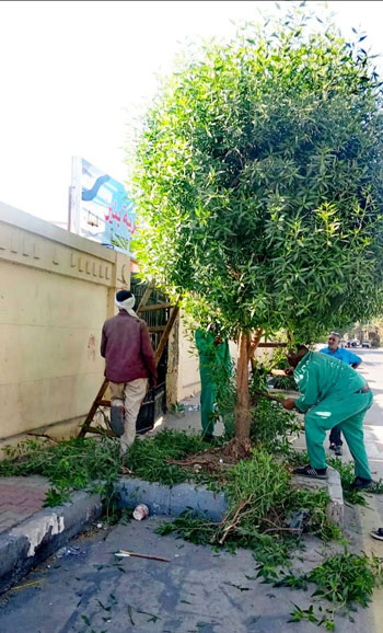 157556-رفع-كفاءة-شوارع-مدينة-الأقصر-لتجميلها-أمام-الضيوف