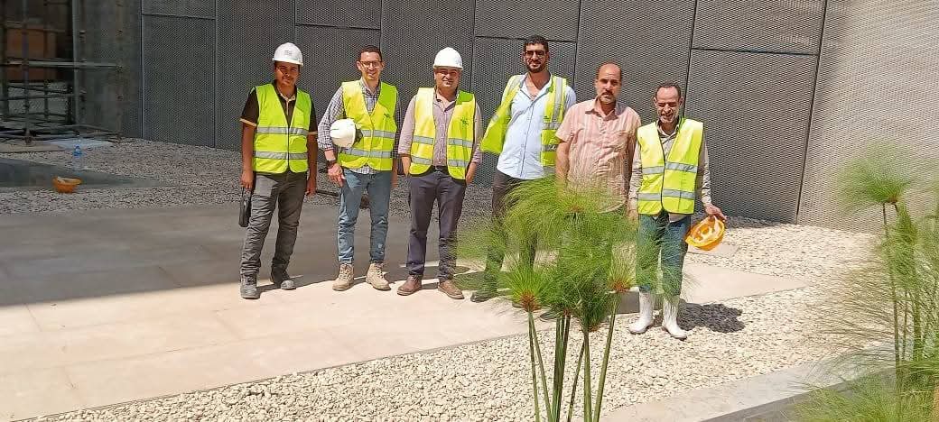 احواض البردي