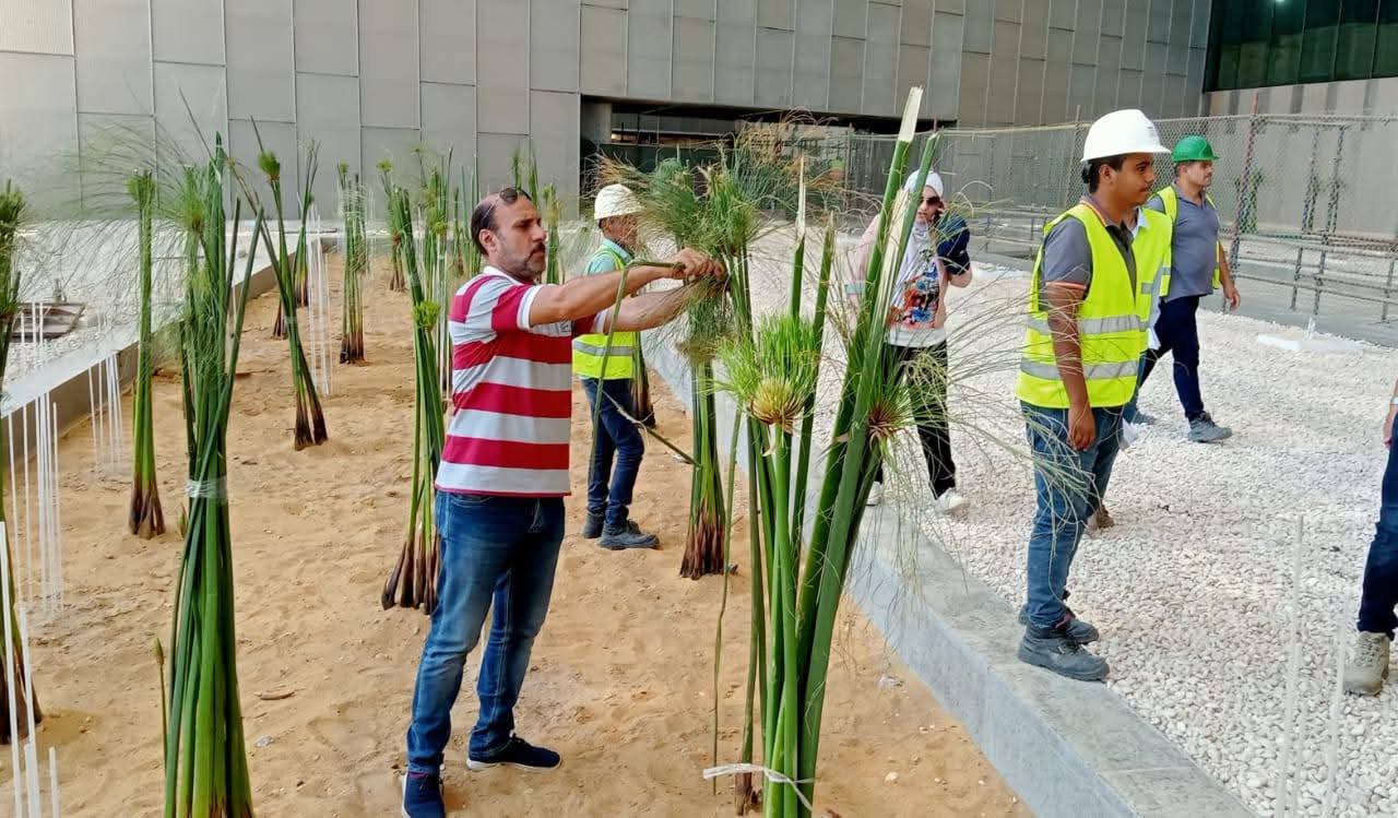 الاعنتاء بالبردي