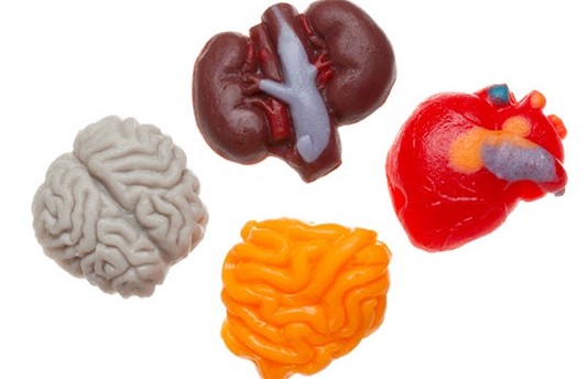 حلوى على هيئة أعضاء حلوى على هيئة أعضاء