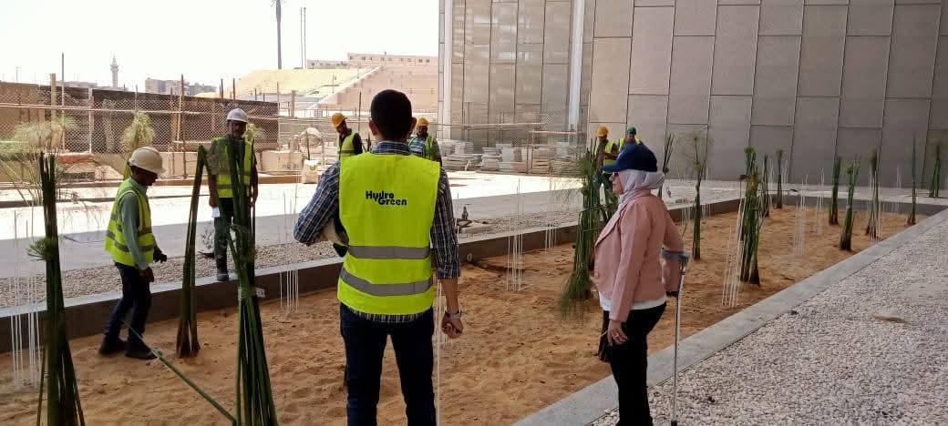 نبات البردي في المتحف المصري