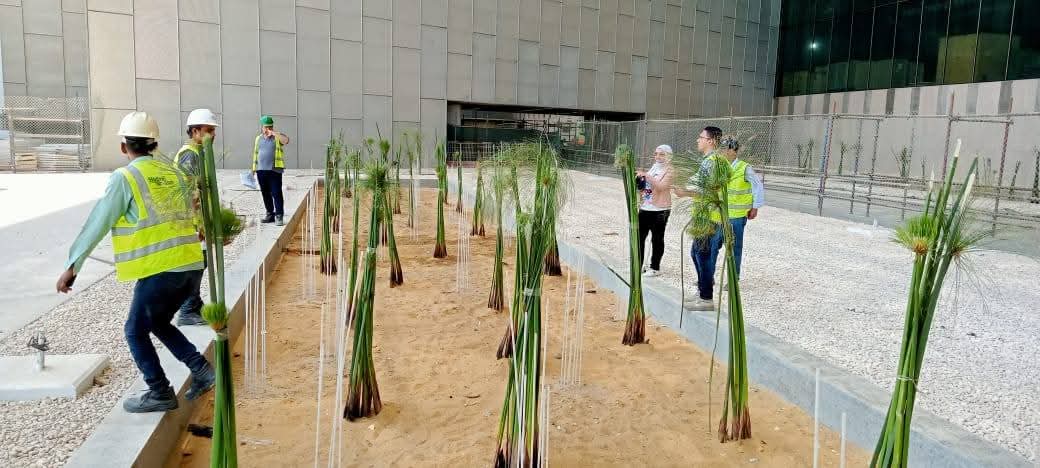 بنات البردي يجسد براعة المصريين