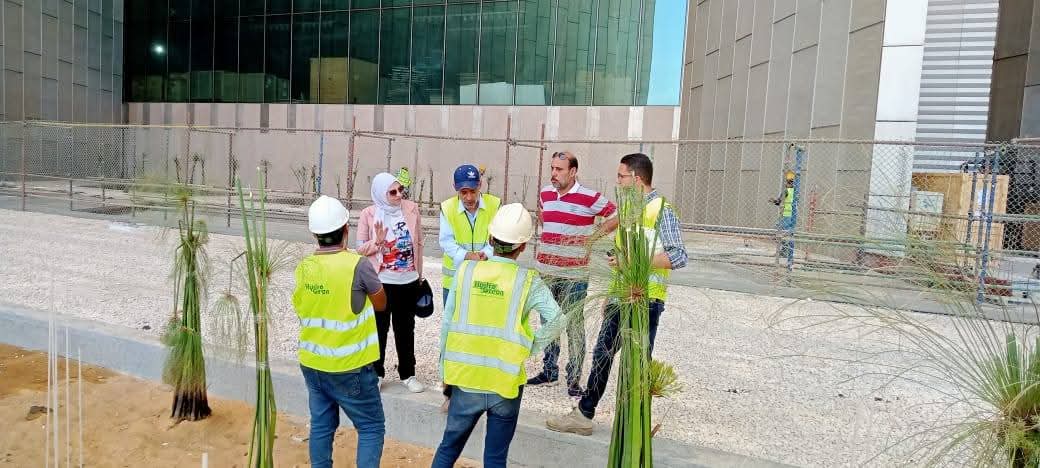 البردي في بهو المتحف