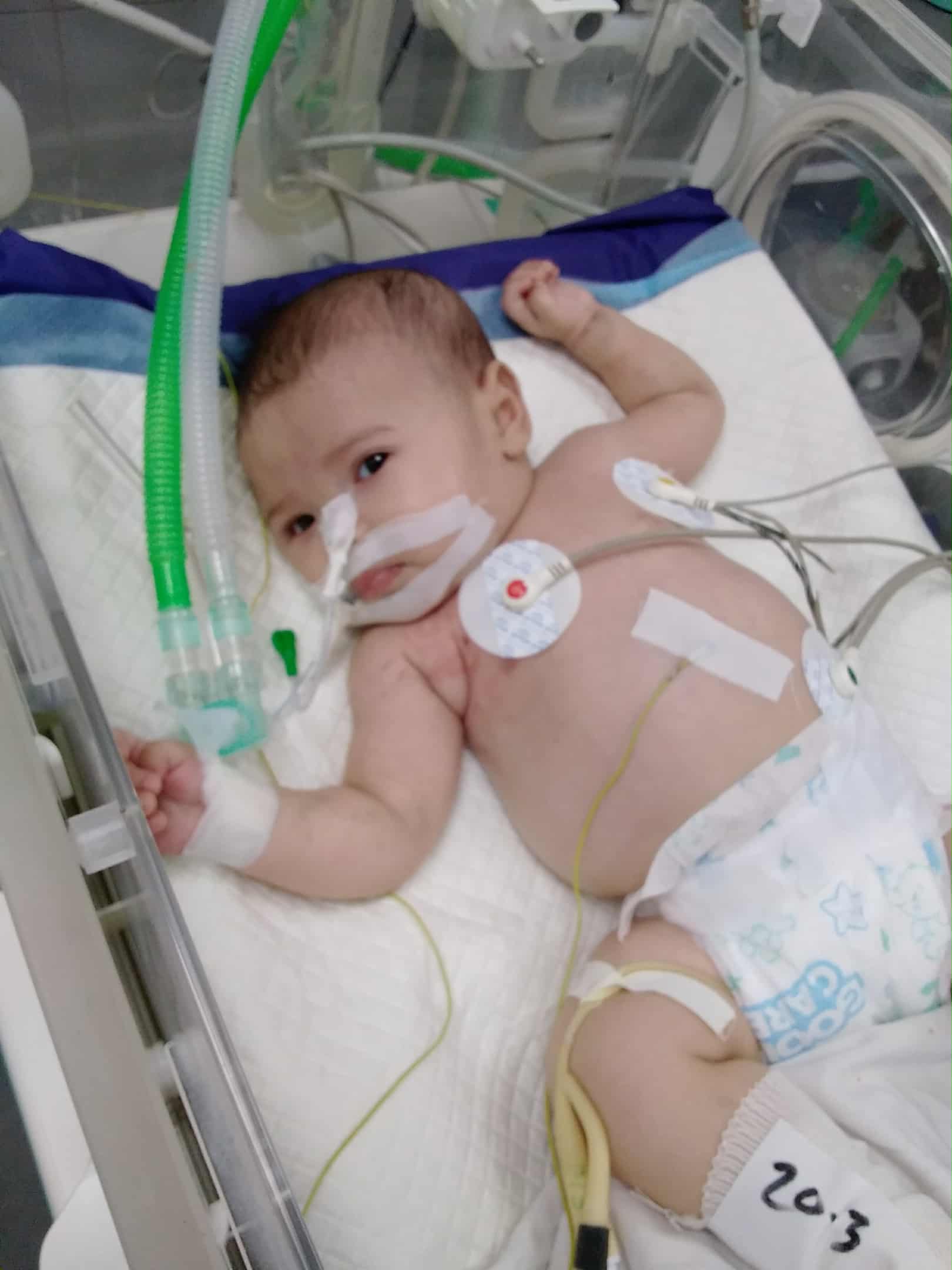 أيسل ماضي أيسل ماضي