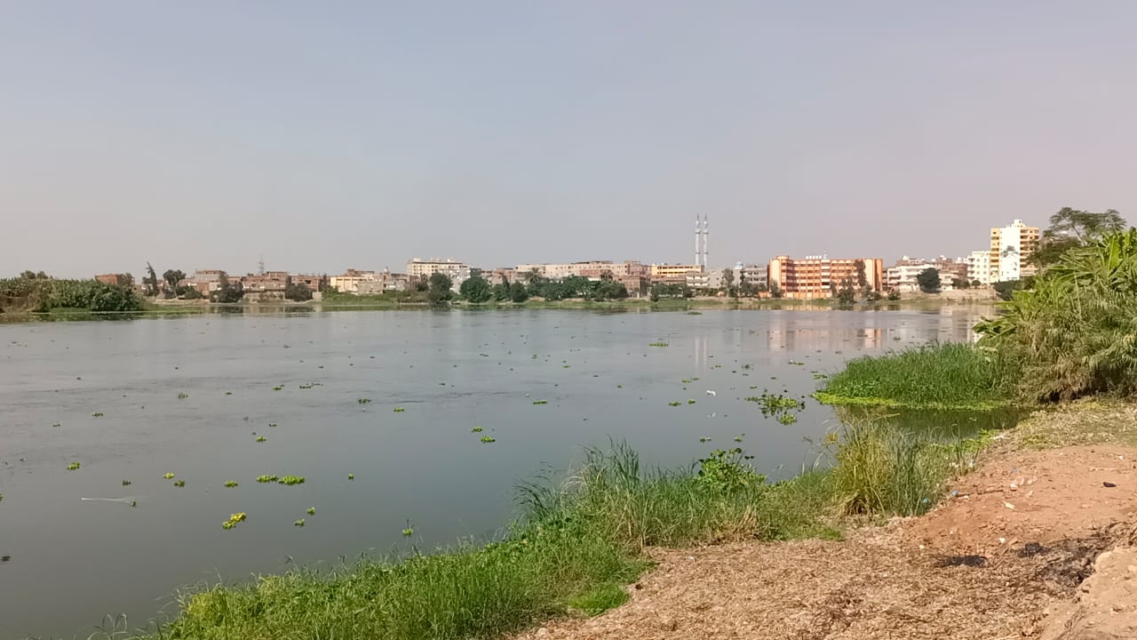 استقرار نهر النيل بدسوق استقرار نهر النيل بدسوق