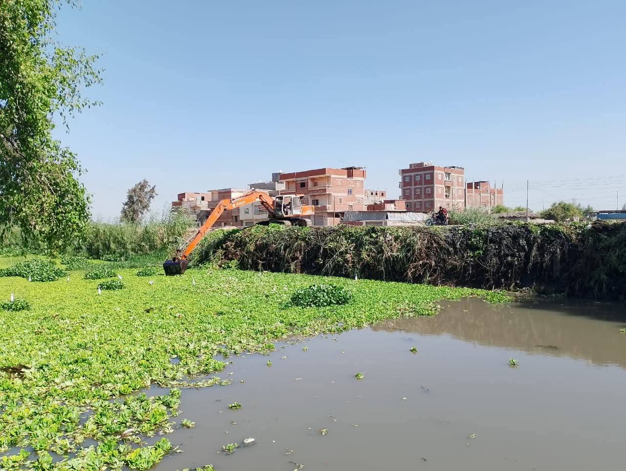 حملات تطهير المصارف بدمياط حملات تطهير المصارف بدمياط