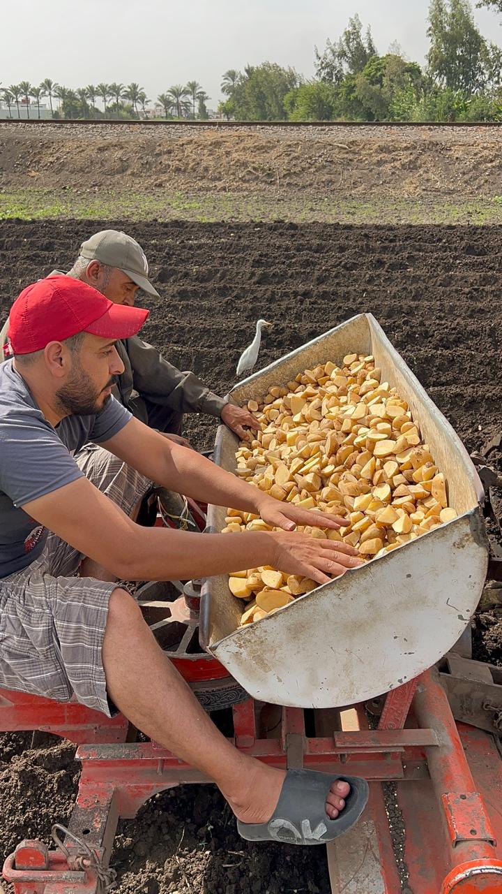 التقاوي داخل وعاء السطارة التقاوي داخل وعاء السطارة