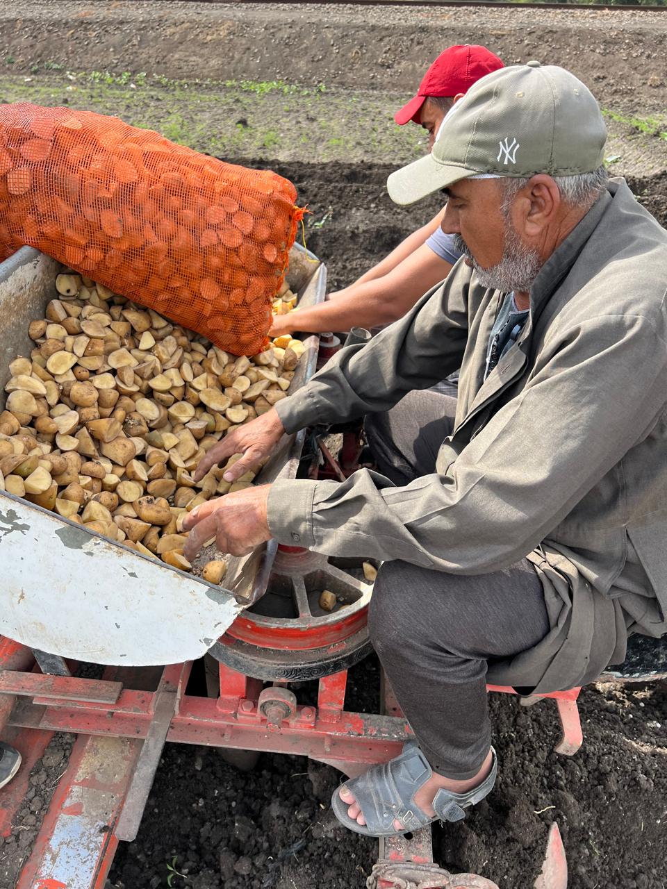 تواجد المزارعين علي السطارة تواجد المزارعين علي السطارة