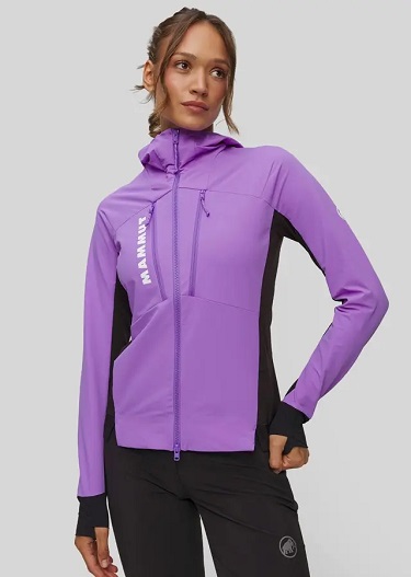 اللون الارجواني اللون الارجواني