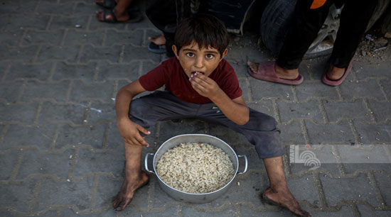 طفل جائع يحصل على الطعام طفل جائع يحصل على الطعام