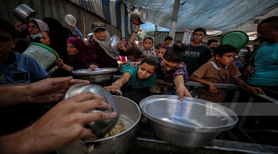 الجوع القاتل فى غزة الجوع القاتل فى غزة