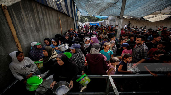 طوابير الجوعى فى غزة طوابير الجوعى فى غزة