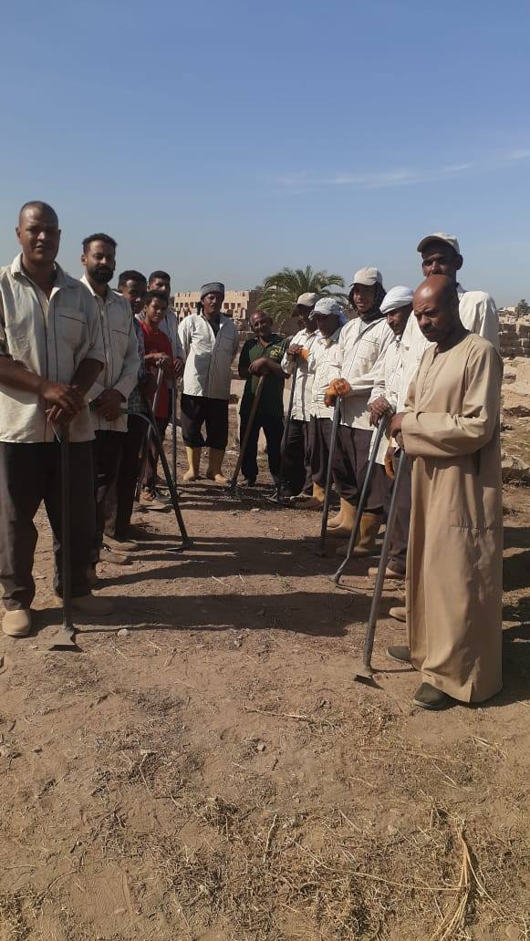 فرق تنظيف مخلفات العاقول والحشائش بمعابد الكرنك