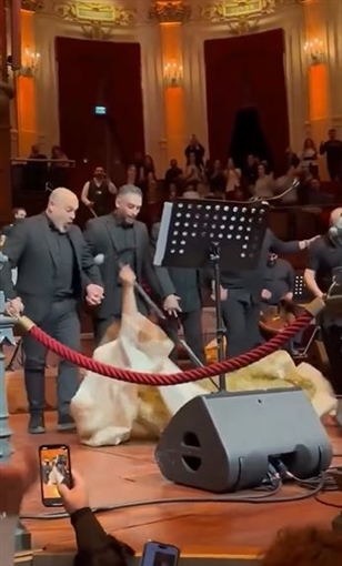 سقوط نجوى كرم