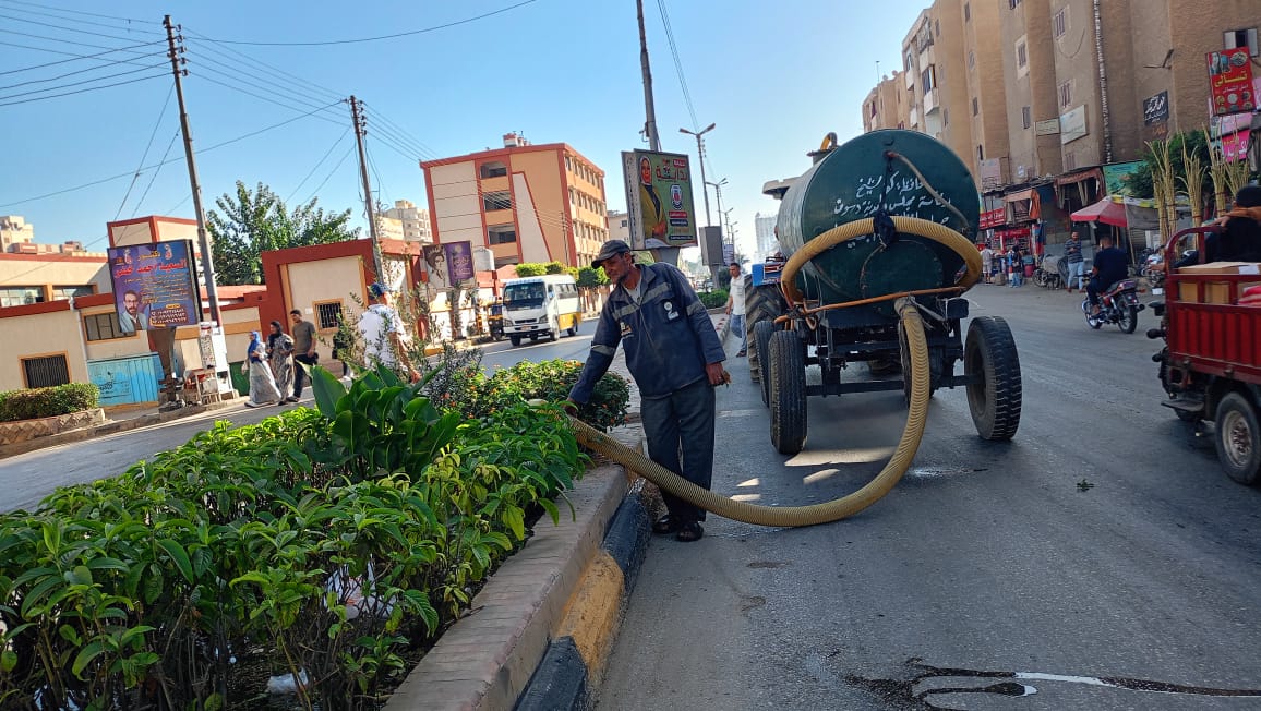 ري الأشجار بدسوق ري الأشجار بدسوق