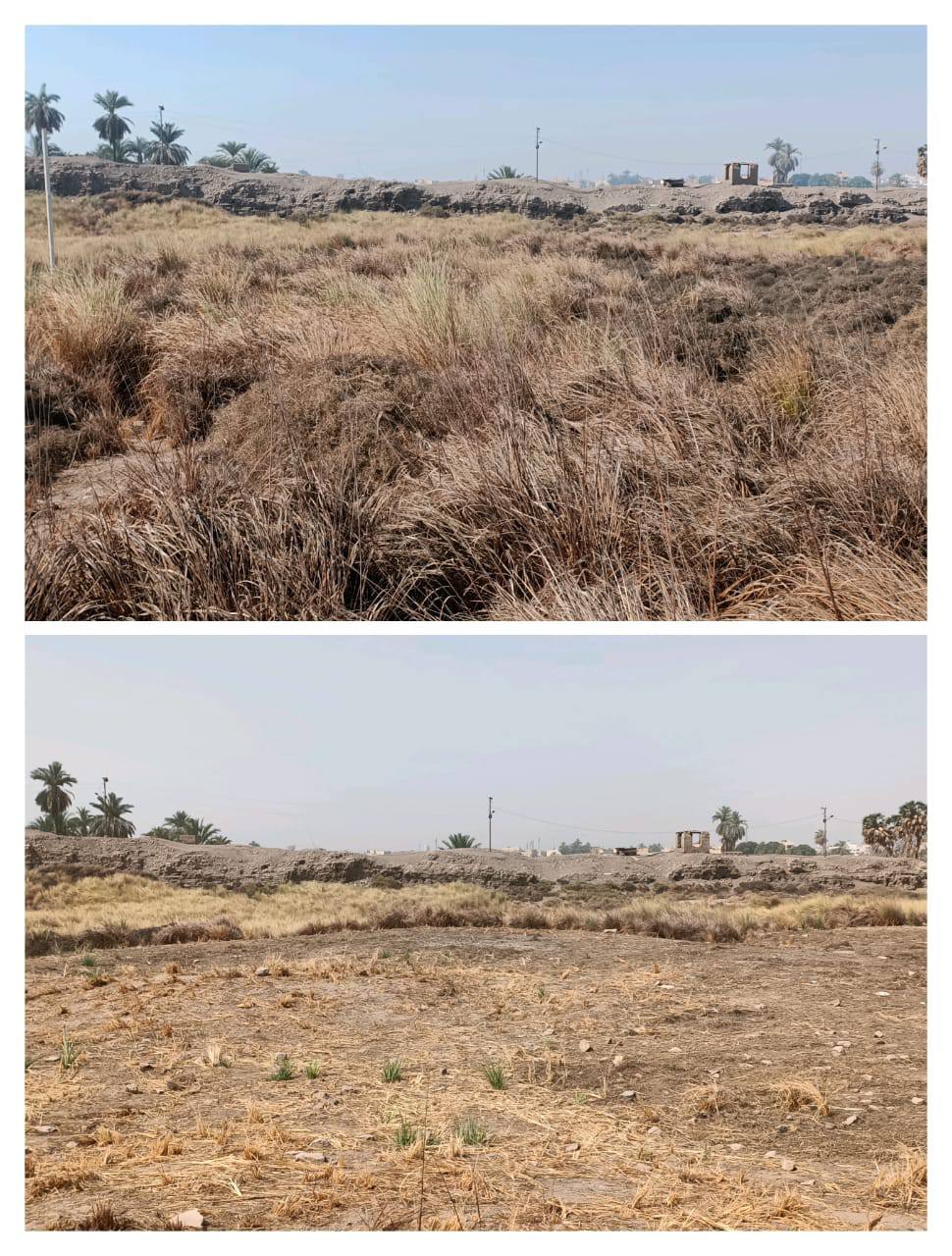 منطقة آثار الأقصر تزيل مخلفات العاقول والحشائش بمعابد الكرنك بعد الحرائق المتكررة