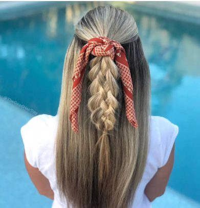 ضفيرة ذيل السمكة ضفيرة ذيل السمكة