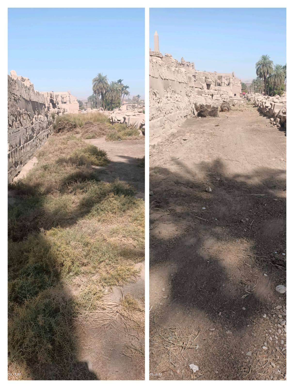 حملات التنظيف والتجميل فى منطقة معابد الكرنك