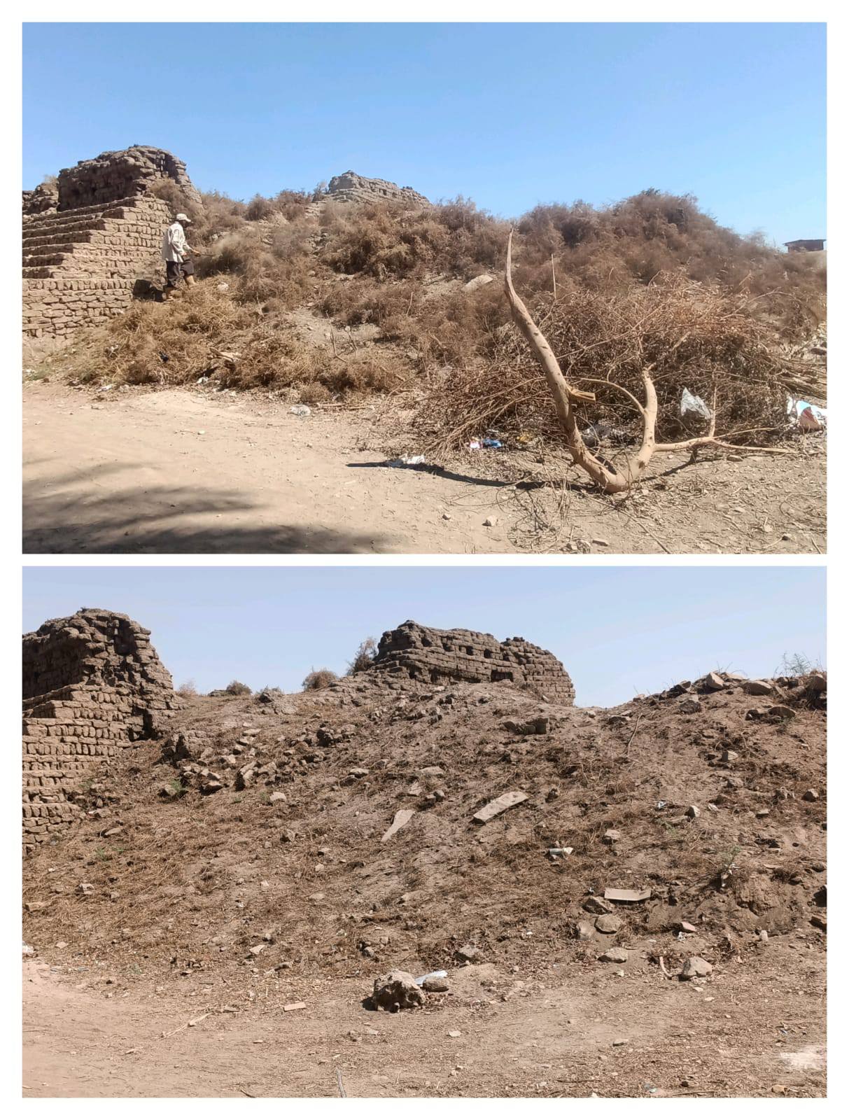 منطقة آثار الأقصر تزيل مخلفات العاقول والحشائش بمعابد الكرنك