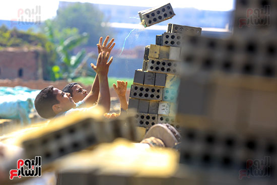 الطوب الطفلي الطوب الطفلي