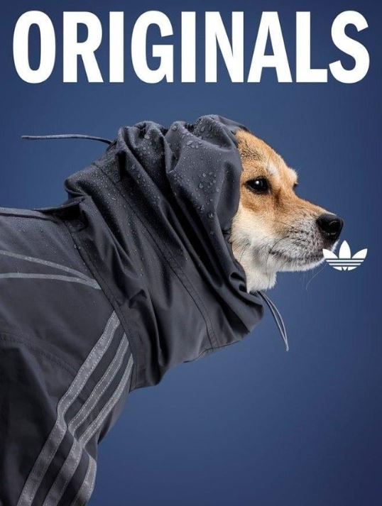 المجموعة الجديدة لأديداس